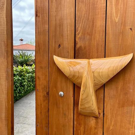Azores Bagus Surf House ポンタ・デルガダ エクステリア 写真